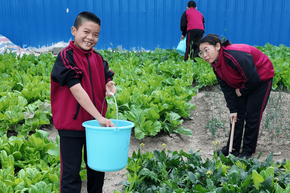 学生种植基地