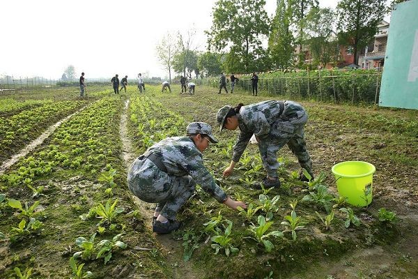 把叛逆孩子送去全封闭式特训学校靠谱吗 把叛逆孩子送去全封闭式特训学校靠谱吗